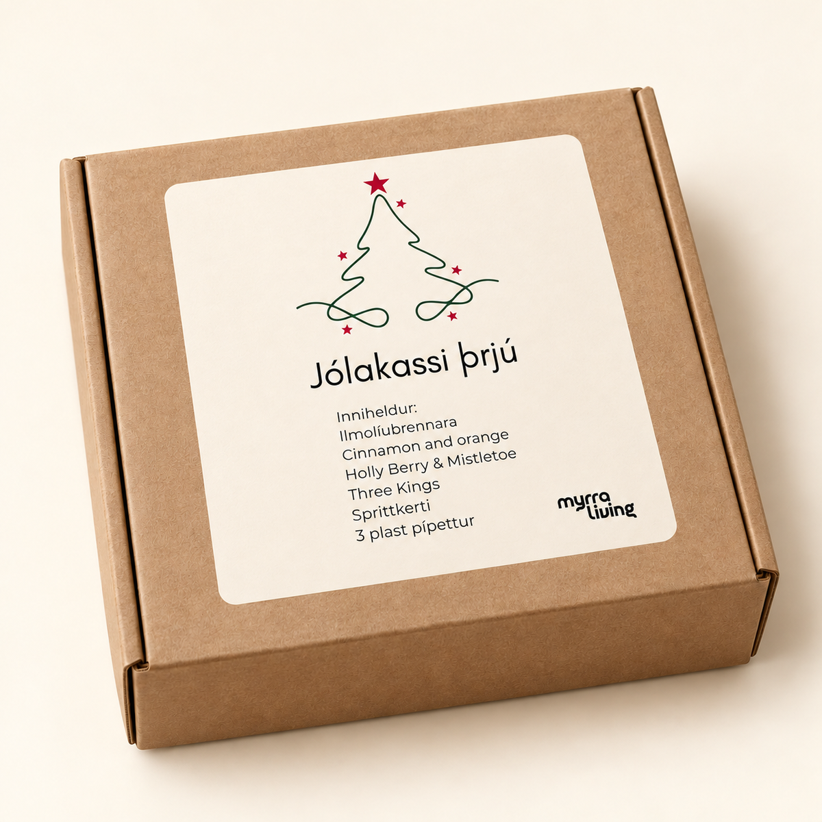 Jólakassi 3 – Jólagleði